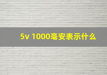 5v 1000毫安表示什么